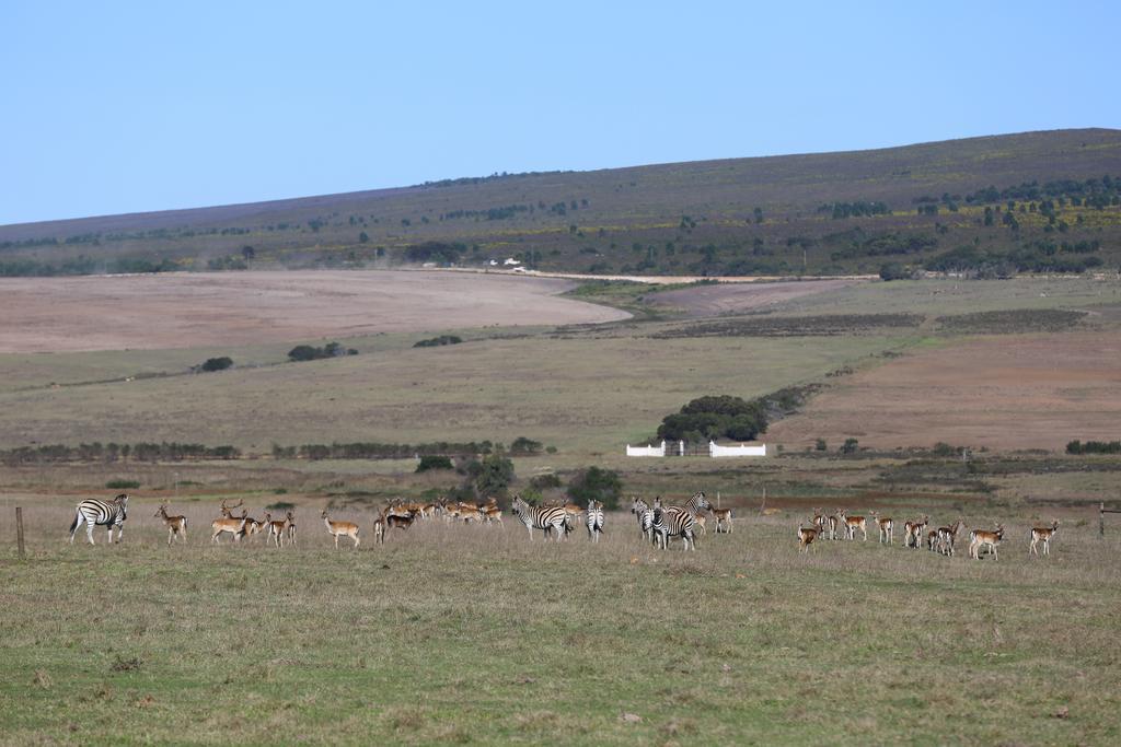 Doornbosch Estate Holiday home *