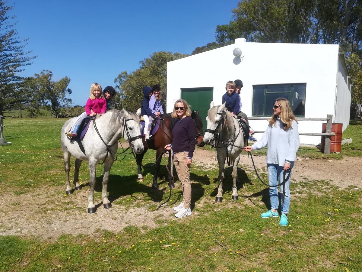 Doornbosch Estate * Elim (Western Cape)